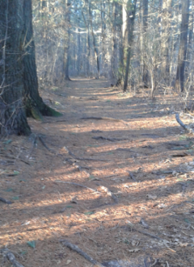 wide trail into two mile farm reservation