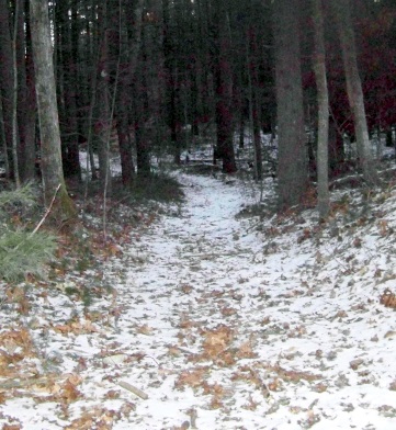 narrow alternate trail at two mile farm