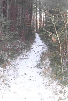 trail leading to private property at two mile farm
