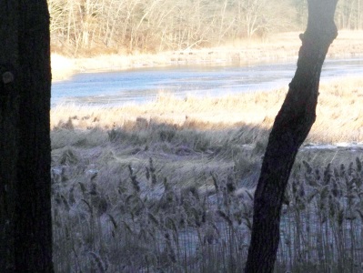 even in winter, a very blue north river