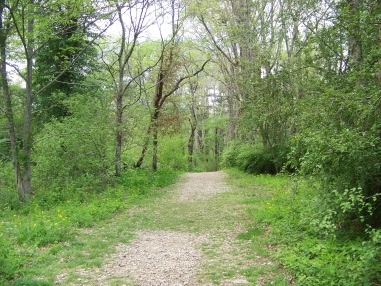 gravel road down to fields at willow brook farm