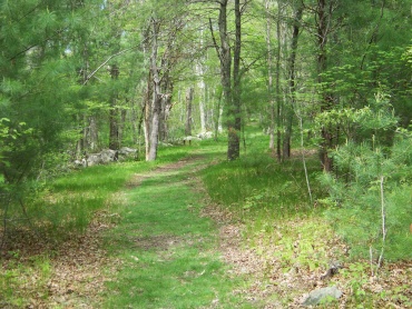 grassy trail with bench at willow brook farm