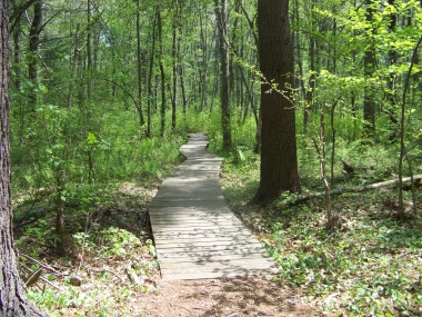 first boardwalk on the Todd trail in willow brook farm preserve