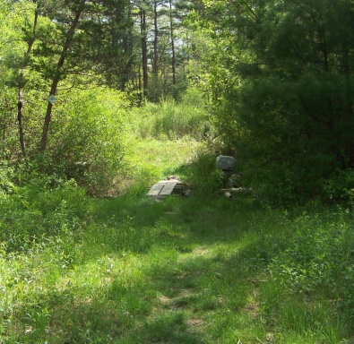 trail between meadows at willow brook farm