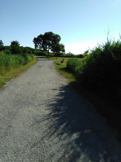 gravel hiking trail leads out to open grass field and views