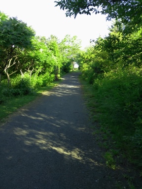 Garden like hiking trail