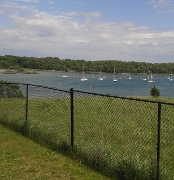 Hewitt's cove from the top of Mary's Point.