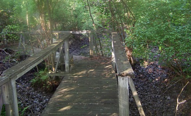 bridge over vernal pond in weir river woods