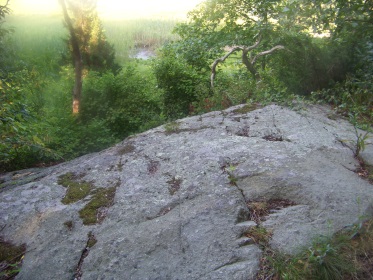 rocky ledge out look in weir woods