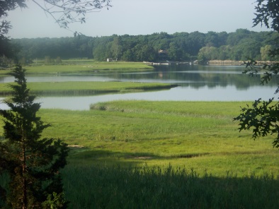 view of weir river estuary from weir woods