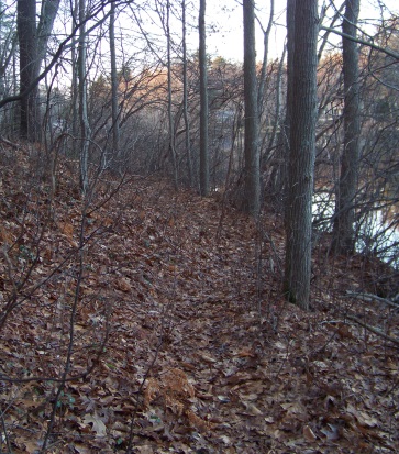 western side of cushing pond trail