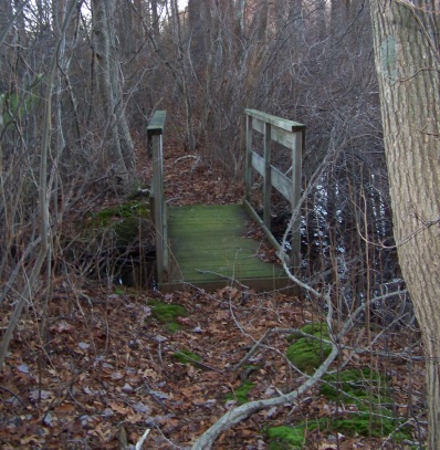 bridge on western side of cushing pond