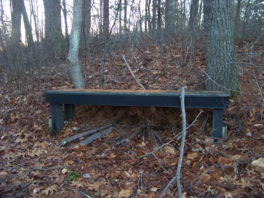 bench after the bridge on western part of cushing woods