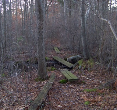 planking across a stream on western side of cushing pond