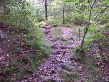 rocky area in Barnes Wildlife Sanctuary