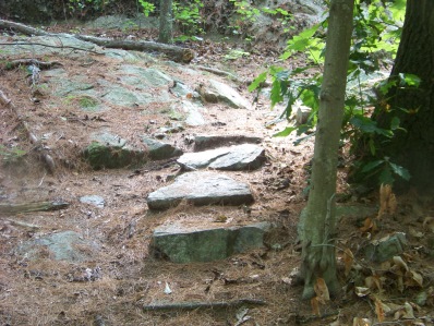 stone step trail in Wheelwright Park