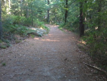 Wheelwright Park hiking trail