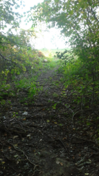 the climb out of the charles ed white recreation area to centennial park in norwell