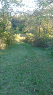 cut grass trail at centennial park in norwell