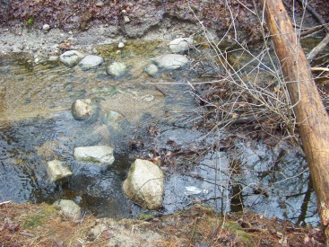 rough stream crossing in whitman town forest