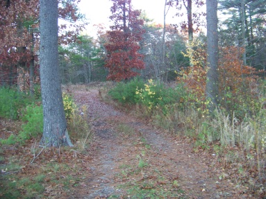 hiking trail near whitman hanson high school