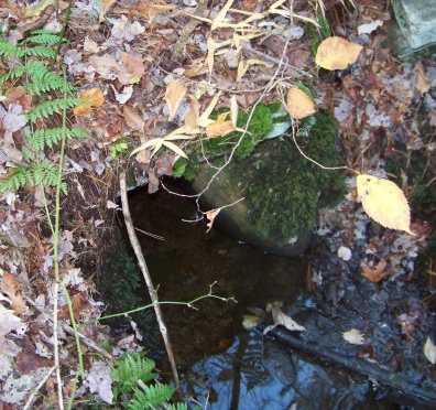 small stone culvert on whitman hanson trail