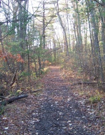 trail near whitman hanson high school