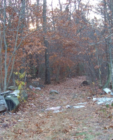 whitman hanson hiking trail enters the forest