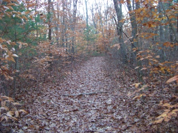 whitman hanson hiking trail is wide pleasant and flat