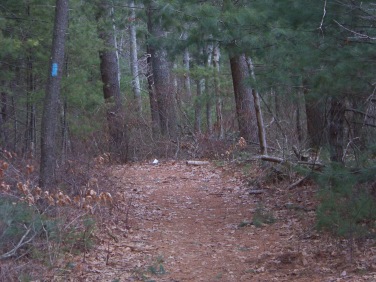 marked cart path in whiton woods