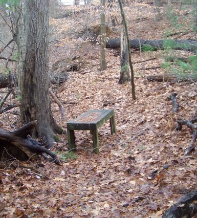 bench at trail end in whortleberry hollow