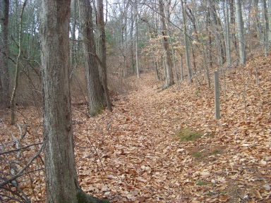 trail along bottom of hill at whortleberry hollow