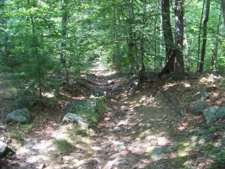 rocky wiggin trail in summer