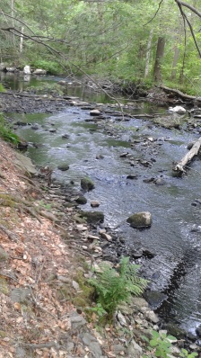 wildlife viewing area at low tide