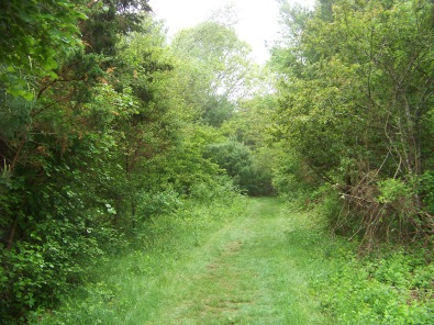 trail through orchard at willow brook farm