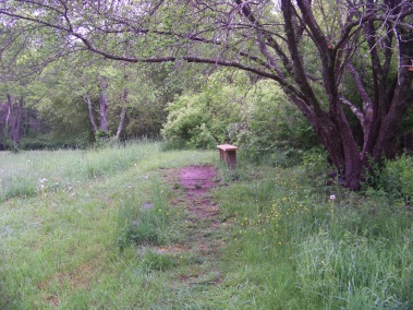 bench at the corner of the field at willow brook farm