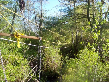 view of the journey on the cable seat at camp wing conservation