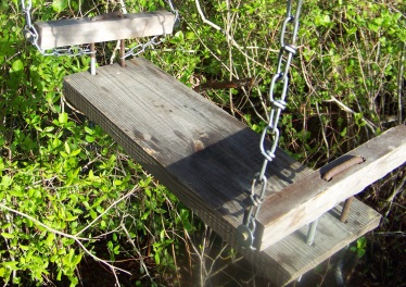 sturdy cable seat on hiking trail of camp wing conservation area