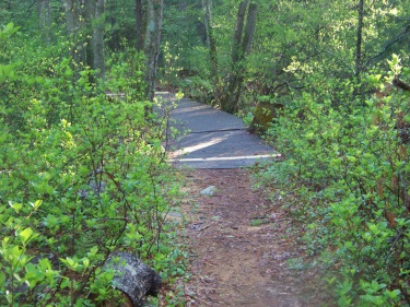 trail passes over low bridge at camp wing conservation area