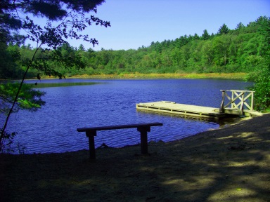Holly pond in the summer at Wompatuck State Park.