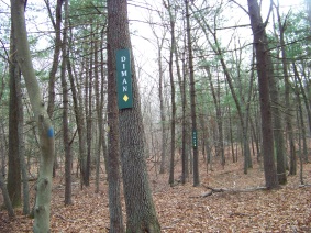Diman trail marker in Holbrook