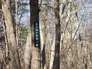 sawyer trail in holbrook