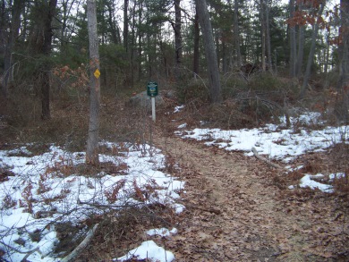 start of the great brewster woods trail