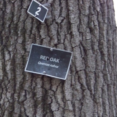 signage marking tree varieties at great brewster woods