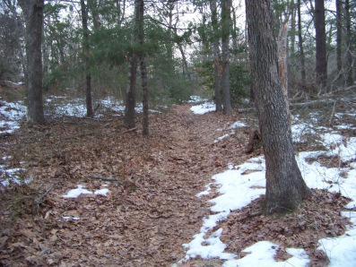 trail through great brewster woods