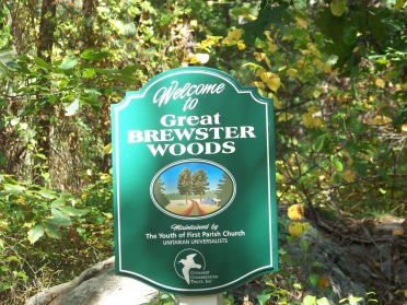 great brewster woods hiking trail