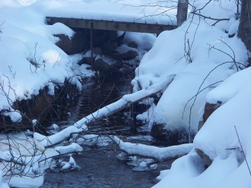 stream flowing under a bridge in rockland town forest