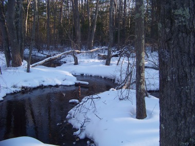 stream in winter in rockland town forest
