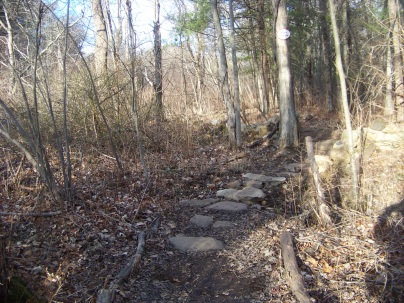 stepping stones on ingeno hiking trail