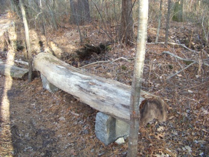 bench on ingeno hiking trail